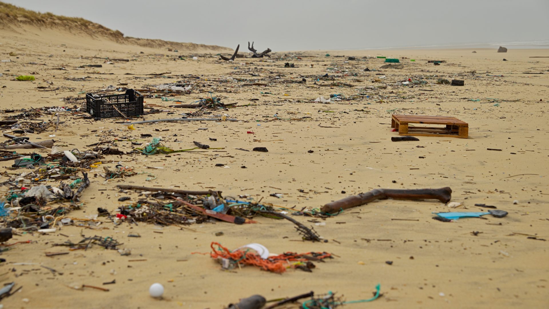Plastic-pollution-Ocean-beach