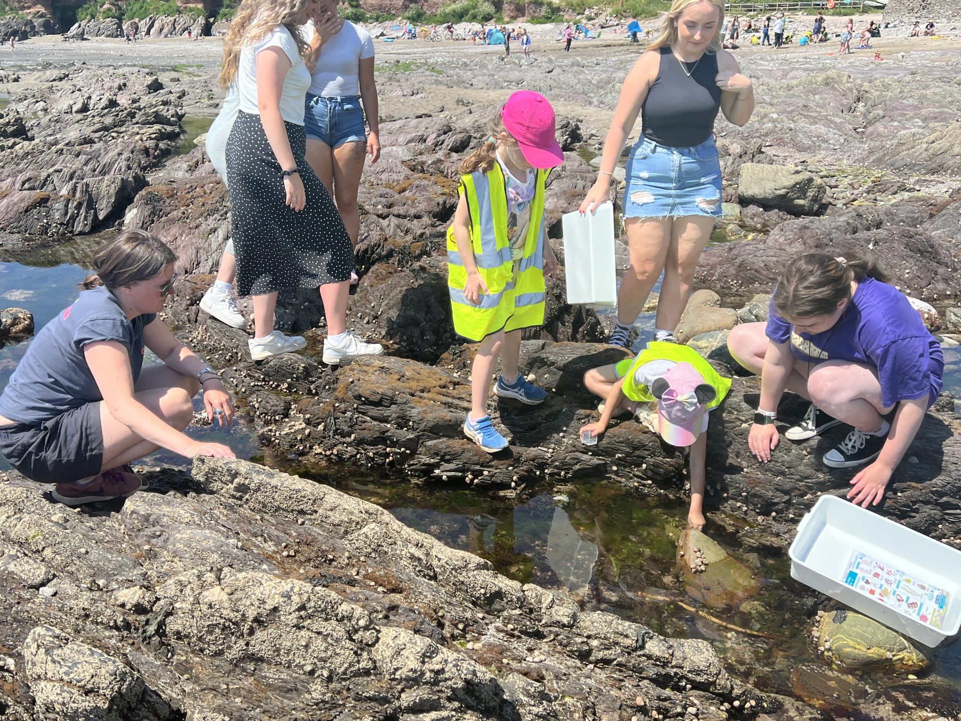Rockpooling at our learning outreach program 