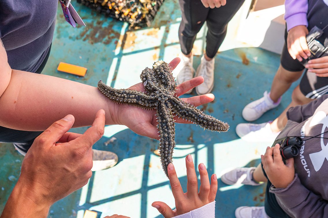 Ranger Holding a star fish on our boat trip